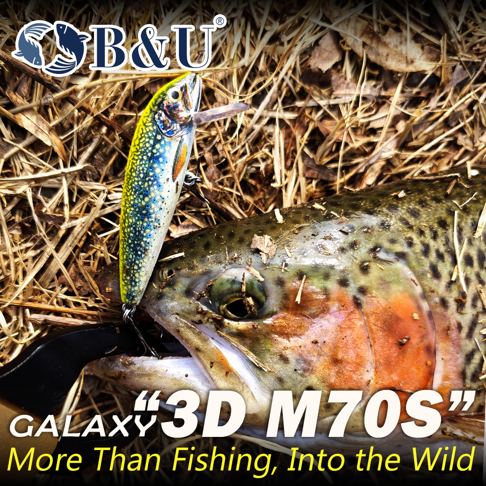B&U Sinking Minnow Fishing Lur - 3D Printing Lure 리뷰 및 가격
