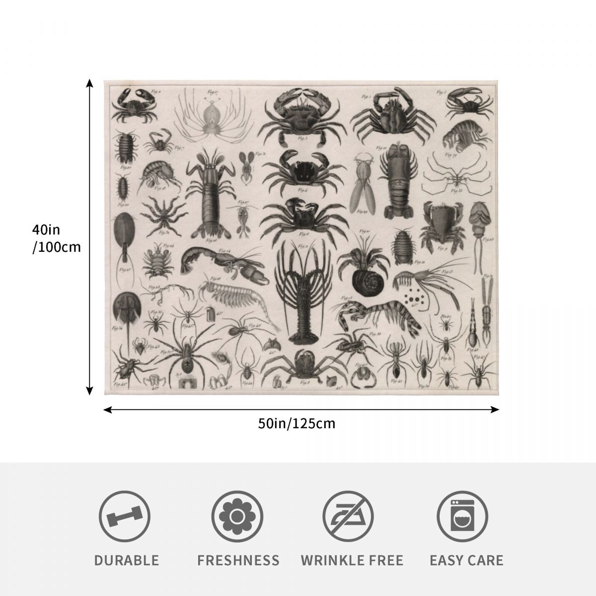 1857 Diagram Zoology: Animals  - 3D Printing Diagram 리뷰 및 가격